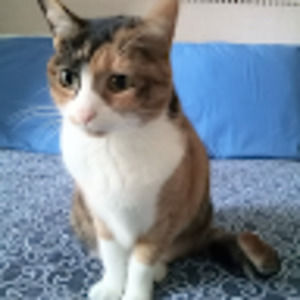 Meet your Posher, Terrance